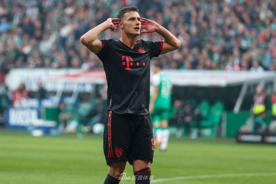 笋般涌现 笋般涌现